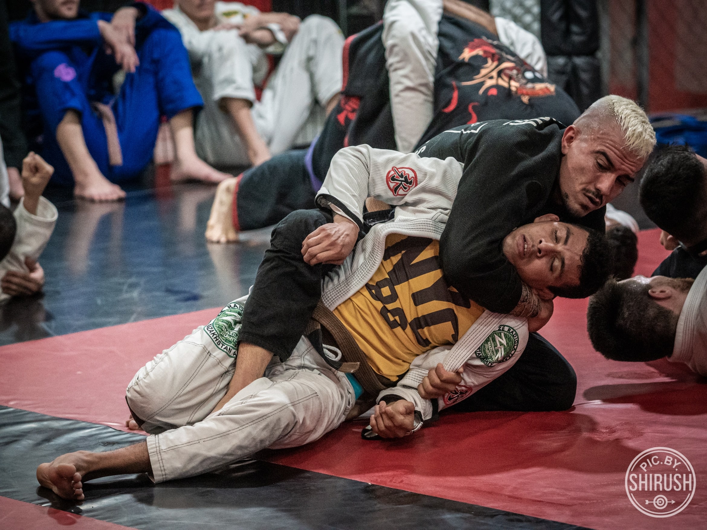 אימון ג׳יו ג׳יטסו ברזילאי ב-MMA ISRAEL נתניה